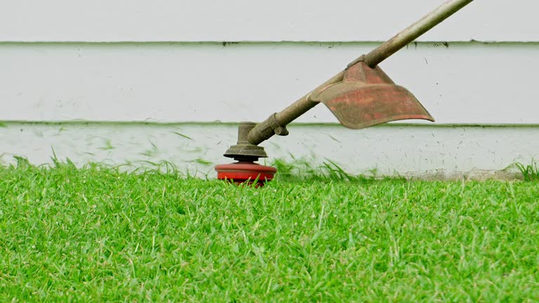 Best Sod Installation  in Olivet, MI