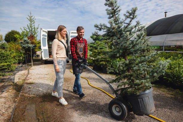 Best Storm Damage Tree Cleanup  in Olivet, MI